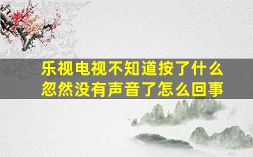 乐视电视不知道按了什么忽然没有声音了怎么回事