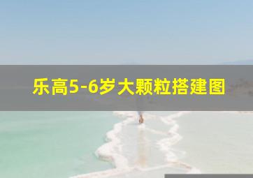 乐高5-6岁大颗粒搭建图