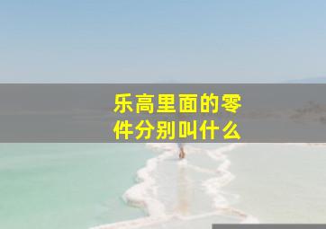 乐高里面的零件分别叫什么