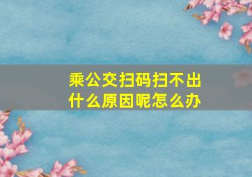 乘公交扫码扫不出什么原因呢怎么办