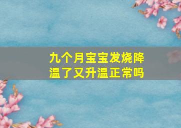 九个月宝宝发烧降温了又升温正常吗