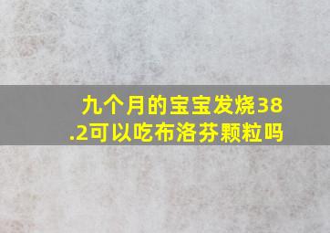 九个月的宝宝发烧38.2可以吃布洛芬颗粒吗