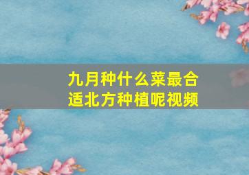 九月种什么菜最合适北方种植呢视频