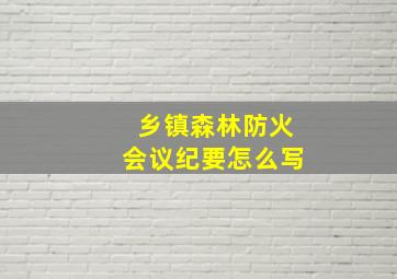 乡镇森林防火会议纪要怎么写