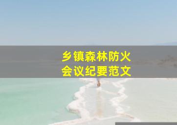 乡镇森林防火会议纪要范文