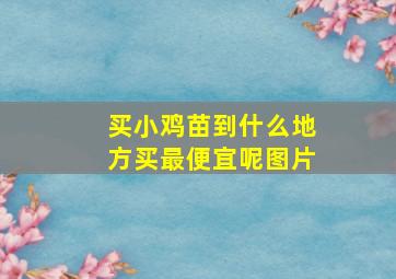 买小鸡苗到什么地方买最便宜呢图片