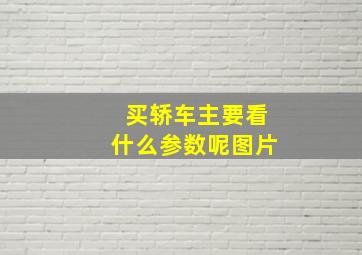 买轿车主要看什么参数呢图片