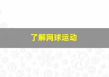 了解网球运动