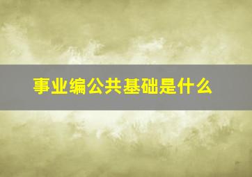 事业编公共基础是什么