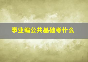 事业编公共基础考什么