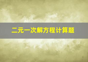 二元一次解方程计算题