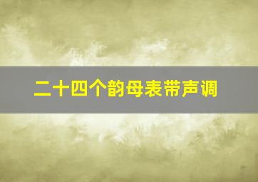 二十四个韵母表带声调