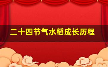 二十四节气水稻成长历程