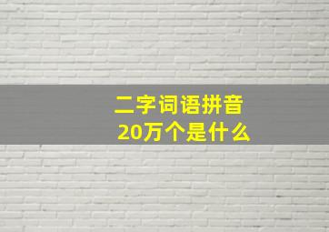 二字词语拼音20万个是什么