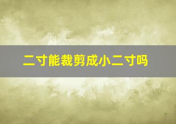 二寸能裁剪成小二寸吗