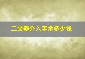 二尖瓣介入手术多少钱