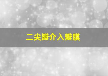 二尖瓣介入瓣膜