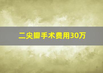 二尖瓣手术费用30万