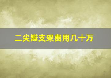 二尖瓣支架费用几十万