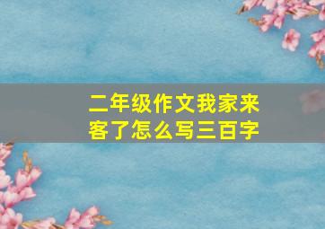 二年级作文我家来客了怎么写三百字