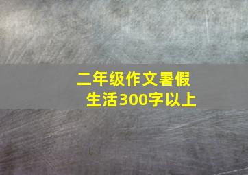 二年级作文暑假生活300字以上