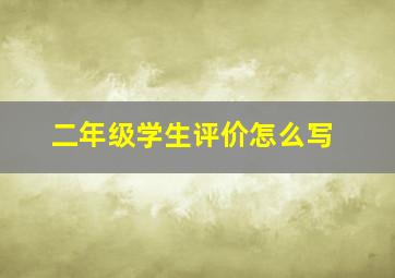 二年级学生评价怎么写