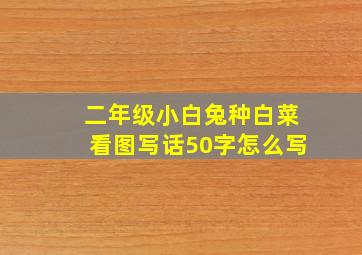 二年级小白兔种白菜看图写话50字怎么写