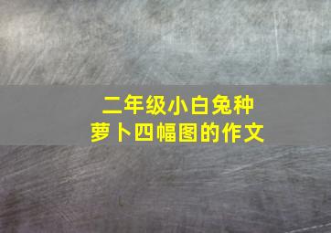 二年级小白兔种萝卜四幅图的作文