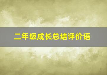 二年级成长总结评价语