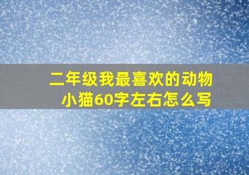 二年级我最喜欢的动物小猫60字左右怎么写