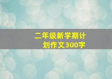 二年级新学期计划作文300字