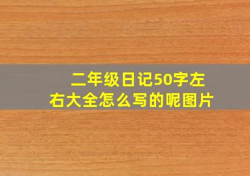 二年级日记50字左右大全怎么写的呢图片