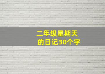 二年级星期天的日记30个字