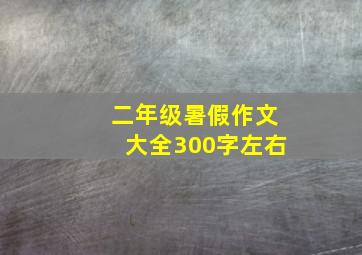 二年级暑假作文大全300字左右