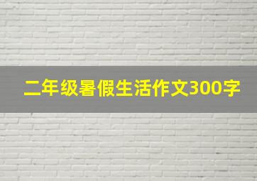 二年级暑假生活作文300字