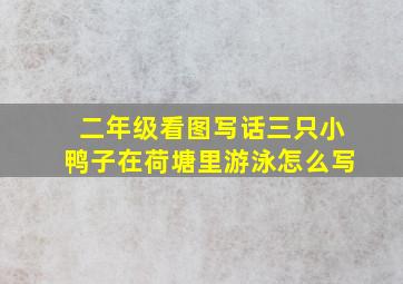 二年级看图写话三只小鸭子在荷塘里游泳怎么写