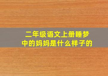 二年级语文上册睡梦中的妈妈是什么样子的