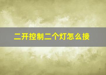 二开控制二个灯怎么接