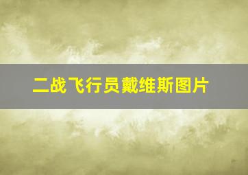 二战飞行员戴维斯图片