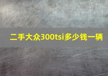 二手大众300tsi多少钱一辆