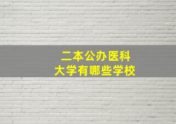 二本公办医科大学有哪些学校