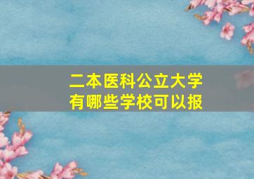 二本医科公立大学有哪些学校可以报