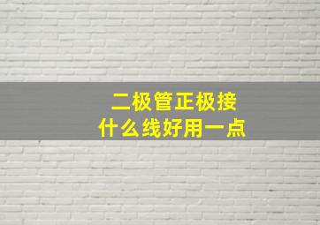 二极管正极接什么线好用一点