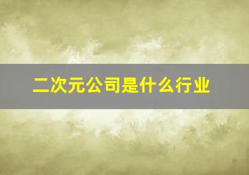 二次元公司是什么行业