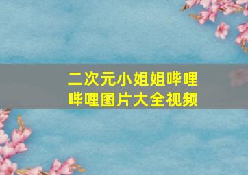 二次元小姐姐哔哩哔哩图片大全视频