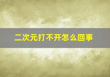 二次元打不开怎么回事