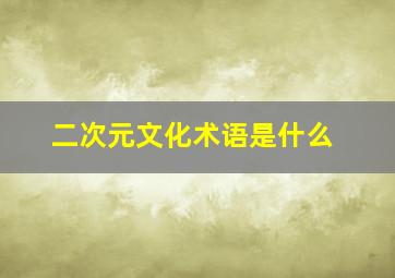 二次元文化术语是什么