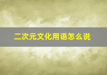 二次元文化用语怎么说