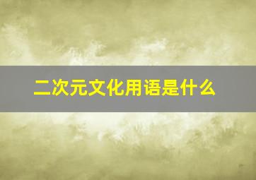 二次元文化用语是什么