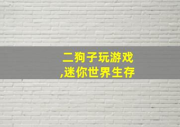 二狗子玩游戏,迷你世界生存